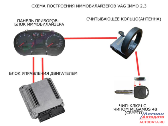 как работает иммо